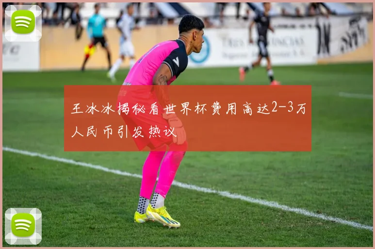 王冰冰揭秘看世界杯费用高达2-3万人民币引发热议